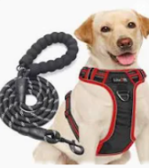 Dog chain and harness