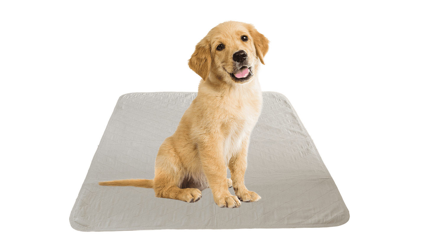 12 Pack Puppy Training Washable Pee Pad - Whelping Absorbent Reusable Pads Carpet/Seat Protection